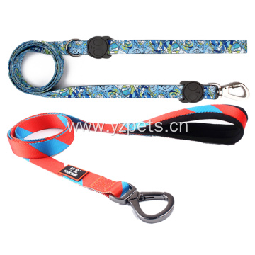 Colorful Dog Leash